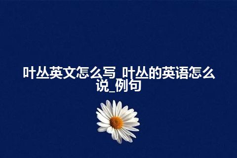 叶丛英文怎么写_叶丛的英语怎么说_例句