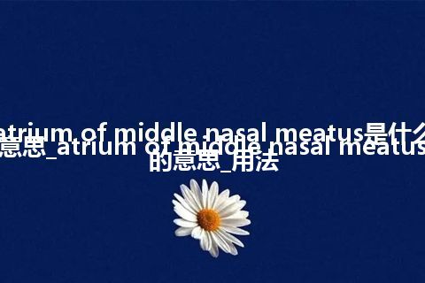 atrium of middle nasal meatus是什么意思_atrium of middle nasal meatus的意思_用法