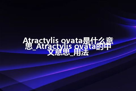 Atractylis ovata是什么意思_Atractylis ovata的中文意思_用法