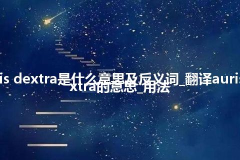 auris dextra是什么意思及反义词_翻译auris dextra的意思_用法