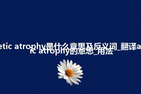 atretic atrophy是什么意思及反义词_翻译atretic atrophy的意思_用法