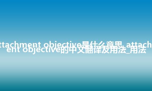 attachment objective是什么意思_attachment objective的中文翻译及用法_用法