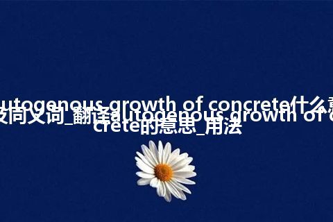 autogenous growth of concrete什么意思及同义词_翻译autogenous growth of concrete的意思_用法