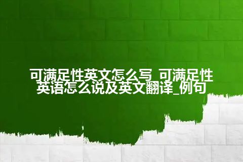 可满足性英文怎么写_可满足性英语怎么说及英文翻译_例句