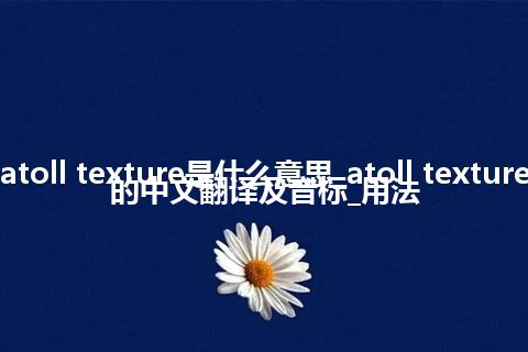 atoll texture是什么意思_atoll texture的中文翻译及音标_用法