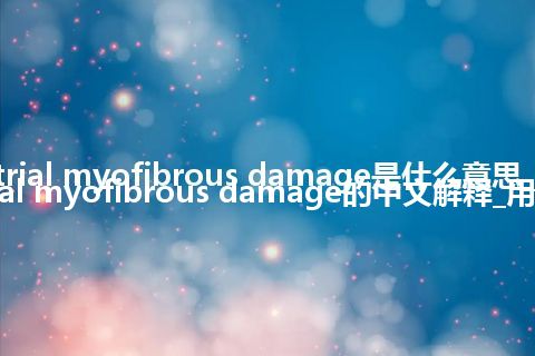 atrial myofibrous damage是什么意思_atrial myofibrous damage的中文解释_用法