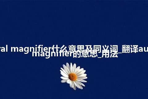 aural magnifier什么意思及同义词_翻译aural magnifier的意思_用法