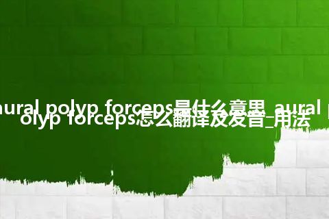 aural polyp forceps是什么意思_aural polyp forceps怎么翻译及发音_用法