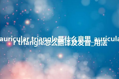 auricular triangle是什么意思_auricular triangle怎么翻译及发音_用法