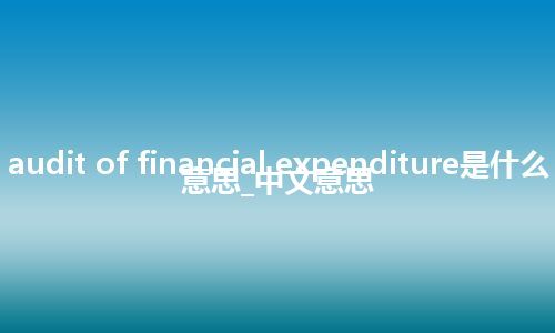 audit of financial expenditure是什么意思_中文意思