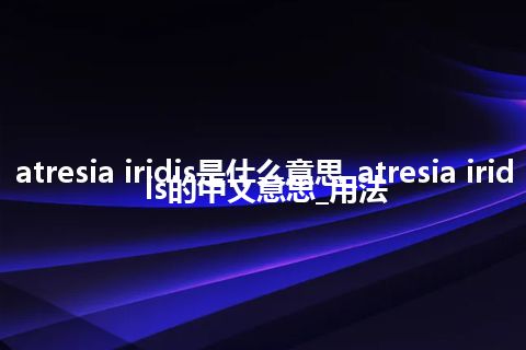 atresia iridis是什么意思_atresia iridis的中文意思_用法