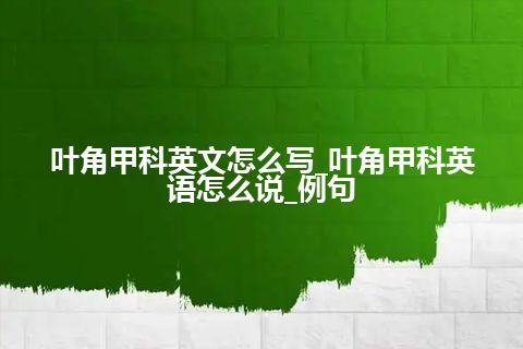 叶角甲科英文怎么写_叶角甲科英语怎么说_例句