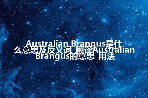 Australian Brangus是什么意思及反义词_翻译Australian Brangus的意思_用法