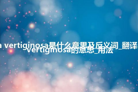 aura vertiginosa是什么意思及反义词_翻译aura vertiginosa的意思_用法