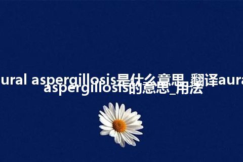 aural aspergillosis是什么意思_翻译aural aspergillosis的意思_用法