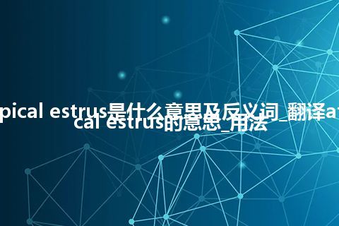 atypical estrus是什么意思及反义词_翻译atypical estrus的意思_用法