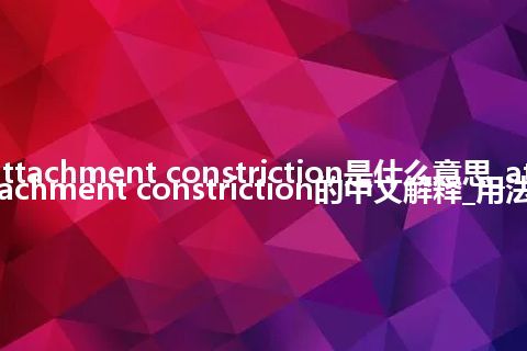 attachment constriction是什么意思_attachment constriction的中文解释_用法