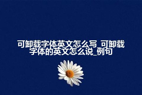 可卸载字体英文怎么写_可卸载字体的英文怎么说_例句