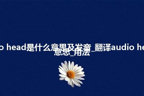 audio head是什么意思及发音_翻译audio head的意思_用法