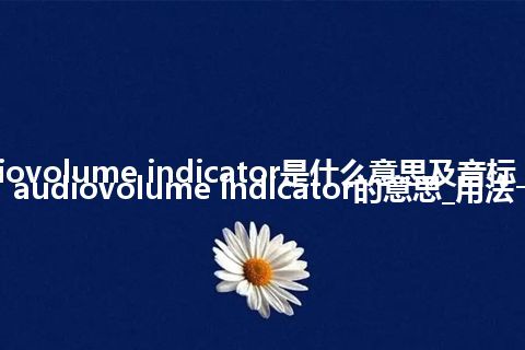 audiovolume indicator是什么意思及音标_翻译audiovolume indicator的意思_用法