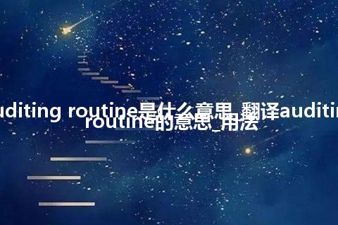 auditing routine是什么意思_翻译auditing routine的意思_用法