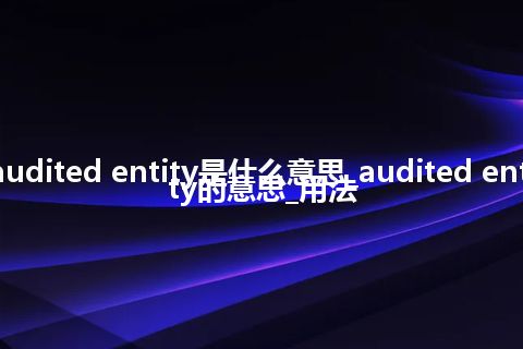 audited entity是什么意思_audited entity的意思_用法