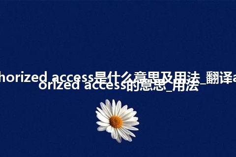 authorized access是什么意思及用法_翻译authorized access的意思_用法