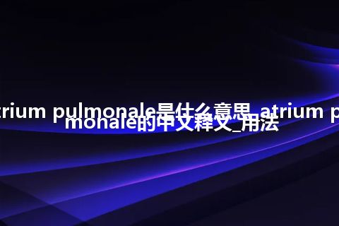 atrium pulmonale是什么意思_atrium pulmonale的中文释义_用法