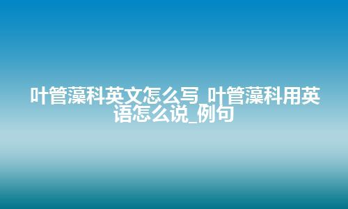 叶管藻科英文怎么写_叶管藻科用英语怎么说_例句