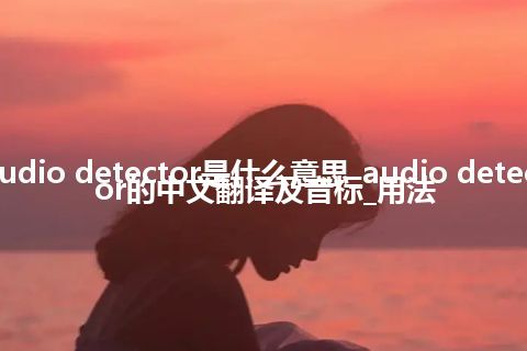 audio detector是什么意思_audio detector的中文翻译及音标_用法