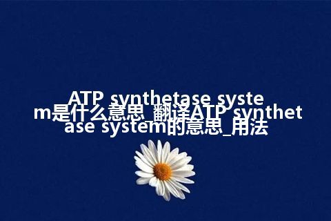 ATP synthetase system是什么意思_翻译ATP synthetase system的意思_用法