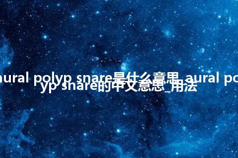 aural polyp snare是什么意思_aural polyp snare的中文意思_用法