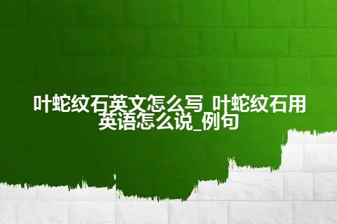 叶蛇纹石英文怎么写_叶蛇纹石用英语怎么说_例句