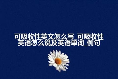 可吸收性英文怎么写_可吸收性英语怎么说及英语单词_例句