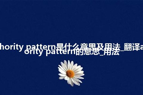 authority pattern是什么意思及用法_翻译authority pattern的意思_用法