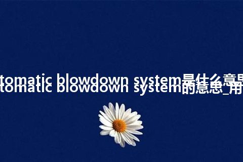 automatic blowdown system是什么意思_automatic blowdown system的意思_用法