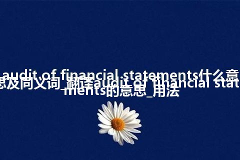 audit of financial statements什么意思及同义词_翻译audit of financial statements的意思_用法