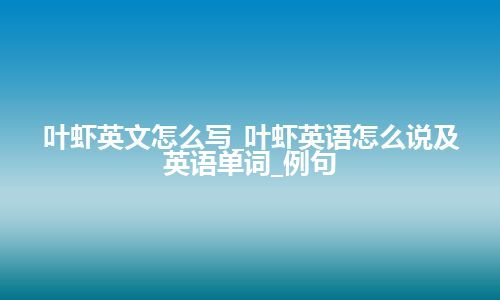 叶虾英文怎么写_叶虾英语怎么说及英语单词_例句