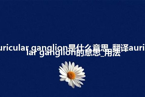 auricular ganglion是什么意思_翻译auricular ganglion的意思_用法