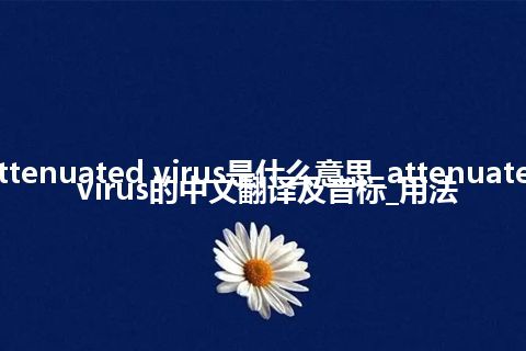 attenuated virus是什么意思_attenuated virus的中文翻译及音标_用法