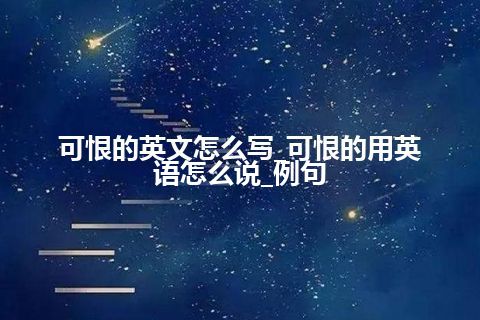 可恨的英文怎么写_可恨的用英语怎么说_例句