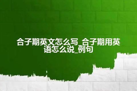 合子期英文怎么写_合子期用英语怎么说_例句