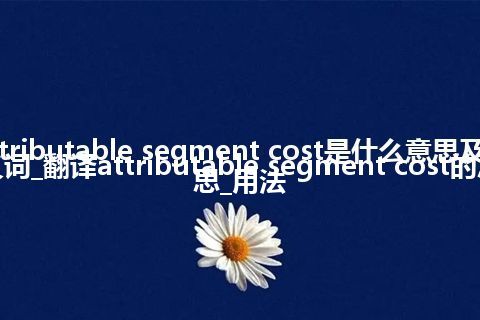 attributable segment cost是什么意思及反义词_翻译attributable segment cost的意思_用法