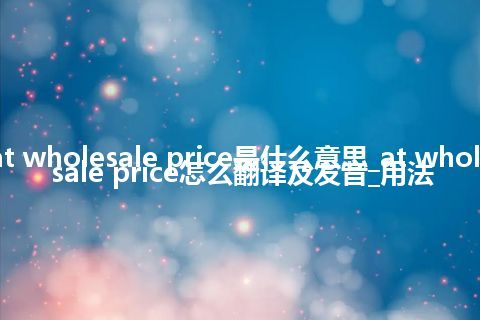 at wholesale price是什么意思_at wholesale price怎么翻译及发音_用法