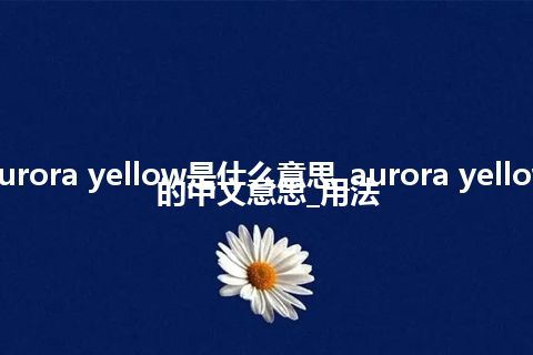 aurora yellow是什么意思_aurora yellow的中文意思_用法