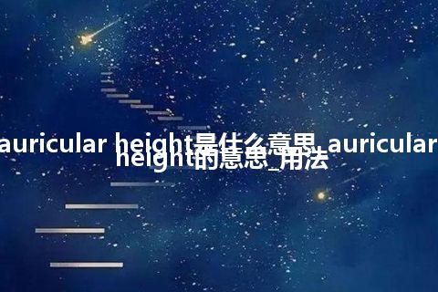 auricular height是什么意思_auricular height的意思_用法