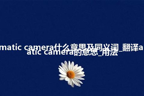 automatic camera什么意思及同义词_翻译automatic camera的意思_用法