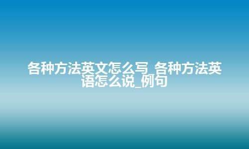 各种方法英文怎么写_各种方法英语怎么说_例句