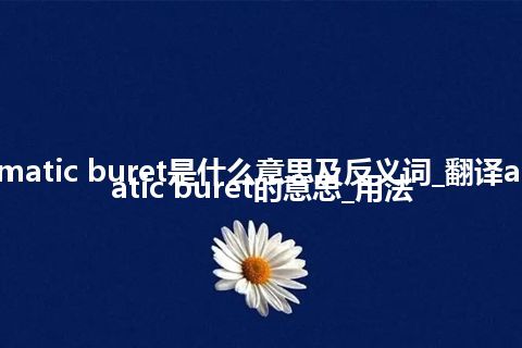 automatic buret是什么意思及反义词_翻译automatic buret的意思_用法