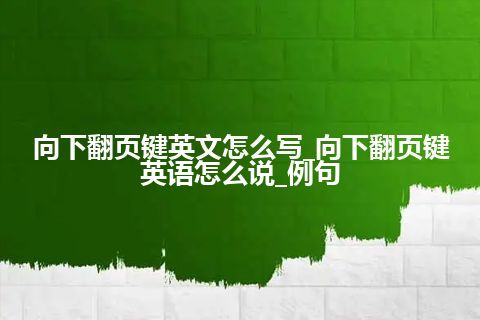 向下翻页键英文怎么写_向下翻页键英语怎么说_例句